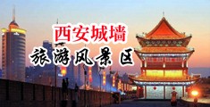 越爽操b中国陕西-西安城墙旅游风景区
