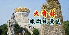 多毛的骚逼中国浙江-绍兴大香林旅游风景区